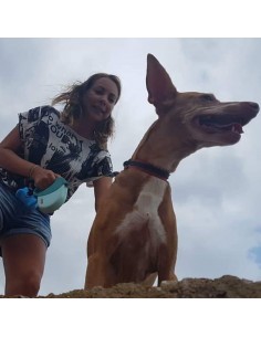 Sarai García-Gascó